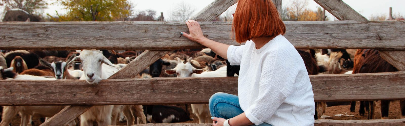 woman-kneeling-down-looking-at-goats