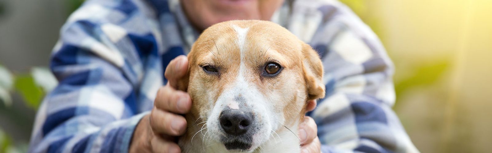 elderly-man-patting-dog