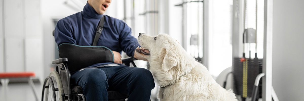 young-man-in-wheelchair-patting-dog