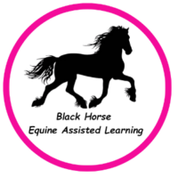 Black Horse Equine Assisted Learning